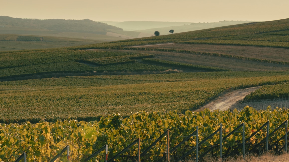 Image without a name